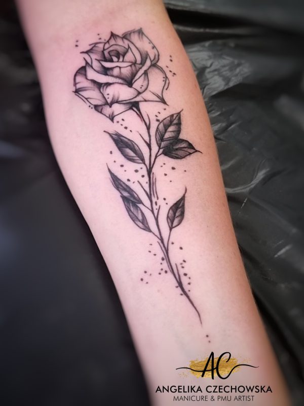 WhatsApp Image 2023-09-19 at 22.19.00 (1)